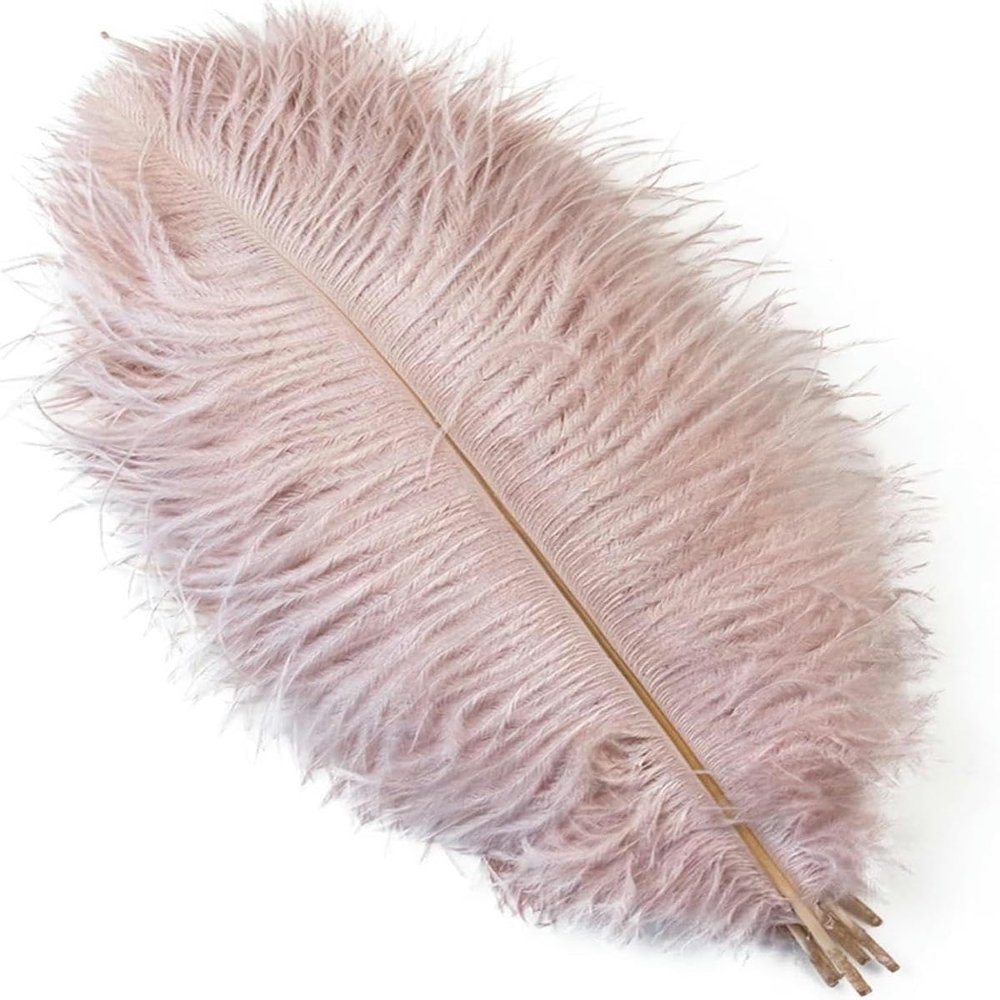 20-Piece Pack of Ostrich Feathers, 25–30 cm, for Vases and Crafts
