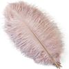 20-Piece Pack of Ostrich Feathers, 25–30 cm, for Vases and Crafts view 1