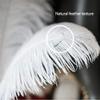 20-Piece Pack of Ostrich Feathers, 25–30 cm, for Vases and Crafts view 3