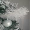 20-Piece Pack of Ostrich Feathers, 25–30 cm, for Vases and Crafts view 4