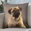 NONHAI Decorative Pug Throw Pillow Covers, 20 x 20 in, Set of 2 view 1