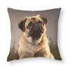 NONHAI Decorative Pug Throw Pillow Covers, 20 x 20 in, Set of 2 view 2