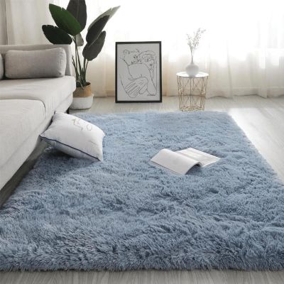 Small Shaggy Area Rug, Soft High-Pile Washable Rug with Non-Slip Backing, 50 x 120 cm, A19