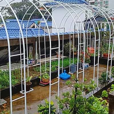 Metal Garden Arch Trellis for Rose Vines, White, 180 × 220 cm