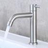 Stainless Steel Single-Handle Cold Water Faucet for Kitchen and Bathroom Sinks view 1