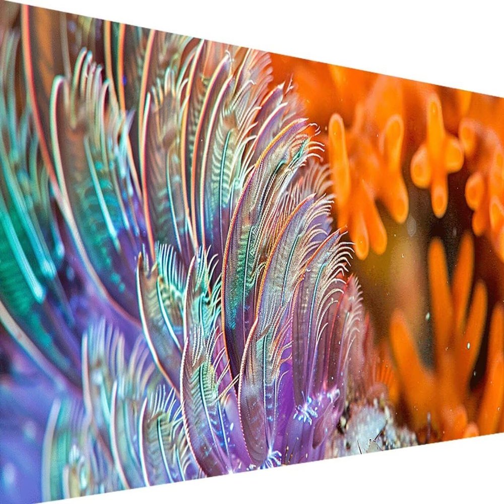 Coral Ocean 5D Diamond Painting Kit, 40 x 80 cm