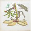 ZHAOSHAN Vintage Animal Graffiti Art Poster with Butterflies and Insects on Plants, by Maria Si, 60 x 90 cm view 1