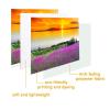 Treer TV Dust Cover, Universal Elastic Protective Cover for 32–80 in TVs and PC Screens, 49–52 in, Pink Tree view 3