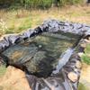 Flexible HDPE Fish Pond Liner, 5 m x 7 m, Waterproof Stream and Fountain Liner, 8 m x 9 m, 9 m x 10 m, Black Pond Liner for Fountains and Waterfalls (Size: 1 m x 1 m) view 3