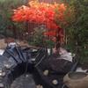 0.5 mm HDPE Pond Liner, Fish- and Plant-Friendly, UV- and Weather-Resistant, Black, 1 x 1 m view 2