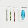 VNYRVZA Highly Flexible CNC-Shielded Twisted-Pair Cable, 2/4/6/8/10/12 Cores, 26/24/20/18/17 AWG, Oil-Resistant TRVVPS Bending Cable, 20 AWG 0.5 mm², 10 Cores, 2 m view 3