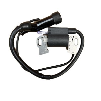 CGHUN 0G84420150 Ignition Coil Module for RS5500 Generator