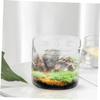 SEWOART DIY Glass Plant Bottle with Micro-Landscape Function, Transparent Terrarium Container for Desk and Table Decoration view 2