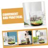 SEWOART DIY Glass Plant Bottle with Micro-Landscape Function, Transparent Terrarium Container for Desk and Table Decoration view 3