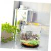 SEWOART DIY Glass Plant Bottle with Micro-Landscape Function, Transparent Terrarium Container for Desk and Table Decoration view 4