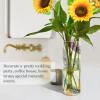 30 cm Transparent Plastic Cylinder Vase, Feather Watercolor Pattern view 4