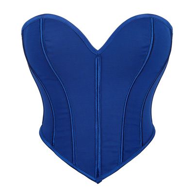 Generic Women's Corset Costume, Black Angel/Princess/Rapunzel Gothic Halloween Costume, Blue, L