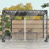Ezcasch Transparent Tarp with Zipper, 2.3 x 5.1 m (H x W), 420 g/m² view 1