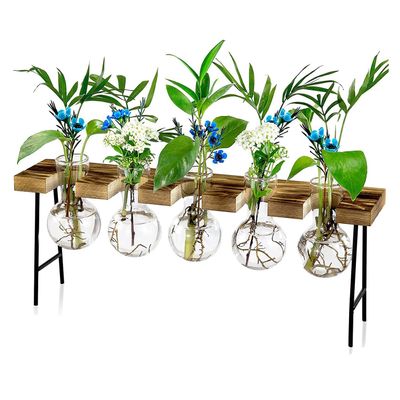 Zyeatary Desktop Air Plant Terrarium with Glass Vases and Wooden Stand