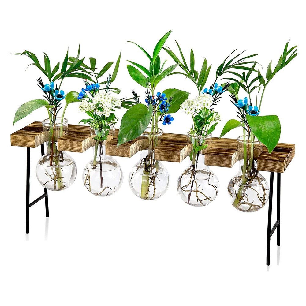 Zyeatary Desktop Air Plant Terrarium with Glass Vases and Wooden Stand