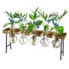 Zyeatary Desktop Air Plant Terrarium with Glass Vases and Wooden Stand view 1