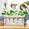 Zyeatary Desktop Air Plant Terrarium with Glass Vases and Wooden Stand view 3