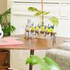 Zyeatary Desktop Air Plant Terrarium with Glass Vases and Wooden Stand view 4