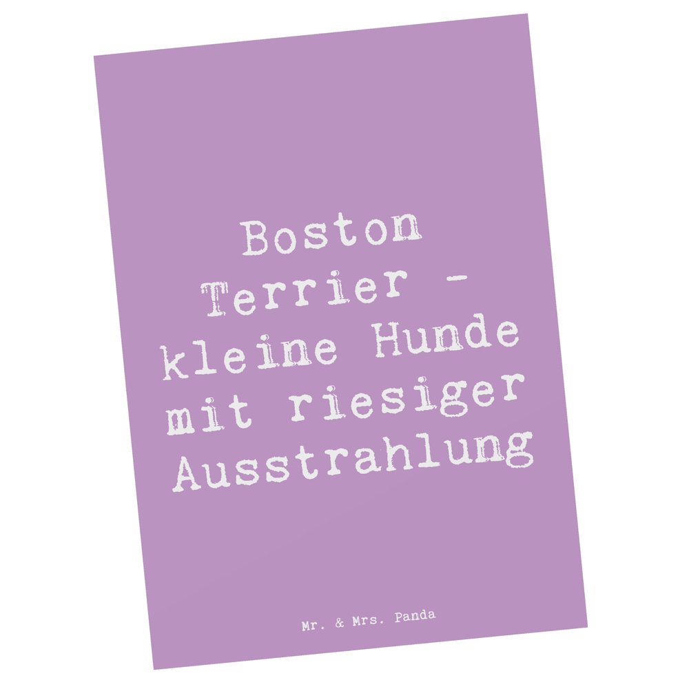 Mr. & Mrs. Panda Boston Terrier Quote Postcard