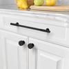 Asidrama Cabinet Pulls, 254 mm, Oil-Rubbed Bronze, 10-Pack view 3