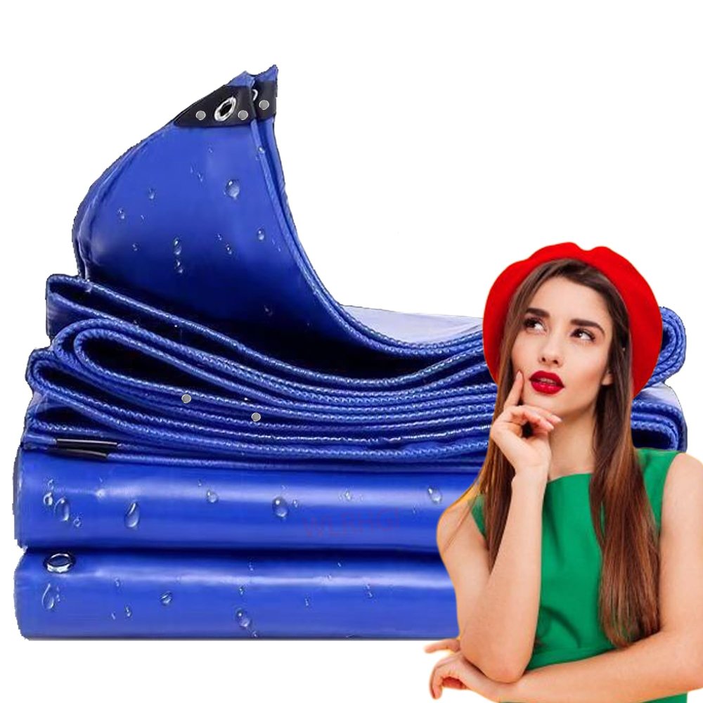 WLRHGl WLR010 Fabric Tarp, 1 x 46.5 m, Waterproof and Mold-Resistant, Blue