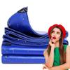 WLRHGl WLR010 Fabric Tarp, 1 x 46.5 m, Waterproof and Mold-Resistant, Blue view 1