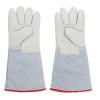 Asixxsix Cryogenic Gloves, -500/-260 Frost-Protection Gloves for Liquid Nitrogen, Cold Storage and Dry Ice view 1