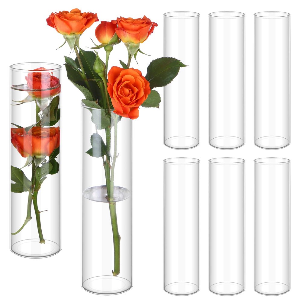 Glass Cylinder Vases, 18 cm, Clear, Set of 6