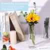 Glass Cylinder Vases, 18 cm, Clear, Set of 6 view 4