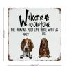 Metal Sign “Welcome to Our Home The Humans Just Lives Here with Us,” 12 x 12 in, Funny Novelty Wall Decor view 2