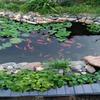 Durable Pond Liner, 3 x 15 m, Flexible HDPE Membrane for Koi and Fish Ponds view 4