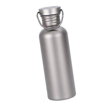Fruusv Titanium Sports Hydration Bottle