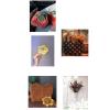 ChongKuan 3 mm/4 mm Macrame Cord, Cotton/Polyester Braided Yarn, 7.4 mm x 100 m view 4
