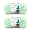 Gründl Funny uni Chenille Yarn, 2 Balls, 100 g, Pastel Green view 1