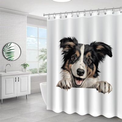 Yelolyio Collie Puppy Dog Polyester Shower Curtain, Waterproof Fabric, Bathroom Curtain with Hooks, 60 x 72 in