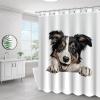 Yelolyio Collie Puppy Dog Polyester Shower Curtain, Waterproof Fabric, Bathroom Curtain with Hooks, 60 x 72 in view 1