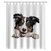 Yelolyio Collie Puppy Dog Polyester Shower Curtain, Waterproof Fabric, Bathroom Curtain with Hooks, 60 x 72 in view 2