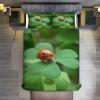 AAPZY Ladybug 3D Bedding Set, 3-Piece Microfiber Set, King 220 x 240 cm view 2