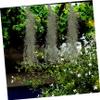 Cabilock 4-Piece Artificial Hanging Vine Moss for Fairy Gardens and DIY Mini Landscapes view 2