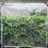 Waterproof Clear Tarp 1.2 x 1.5 m with Eyelets, 0.35 mm Thick PVC Cover view 2