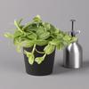 Tradescantia in Anthracite Ceramic Pot, Subject to Availability, 12 cm Pot, Set of 3 view 2