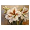 Feeby 3D Wallpaper, 200 x 140 cm, White Painted Flower view 3