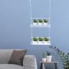 minkissy Hanging Acrylic Plant Stand for Plants and Flowers view 3