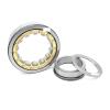 1 PCS NUP204EM 20×47×14 92204 NUP204ECM NUP204 P6 ABEC-3 Single-Row Cylindrical Roller Bearing IINKUEYK view 1