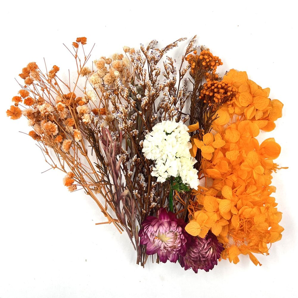 Dried Flowers Set - Orange